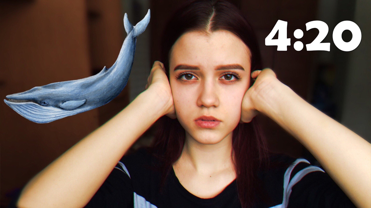 4 20 Синий Кит Картинки